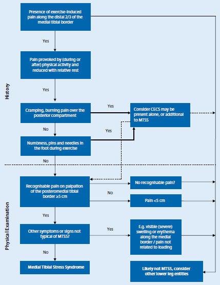algoritma shin splint