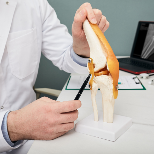 ligamen lutut